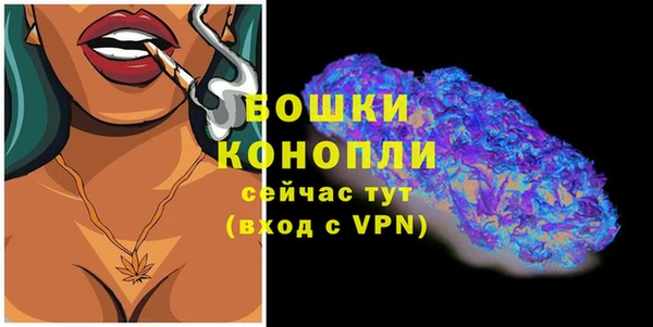 ешки Белокуриха