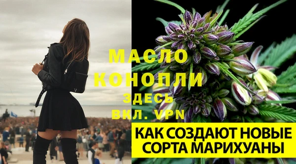 mix Мегион