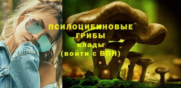 крисы Беломорск